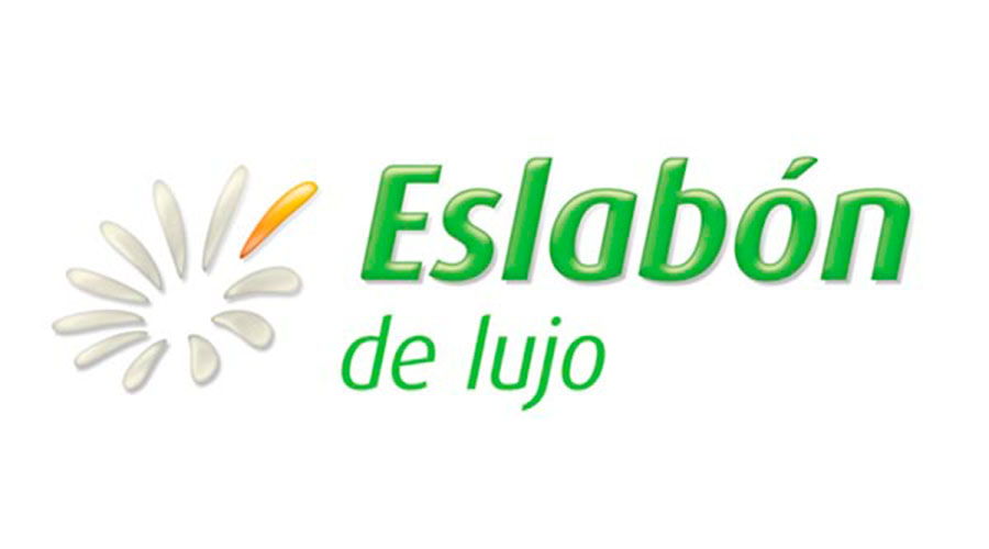 Cooling of industrial air conditioners, fans on the condenser. Engineer repairing a condenser fan control unit.